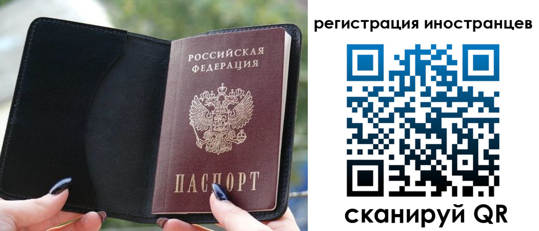 найти адрес прописки в Отрадном